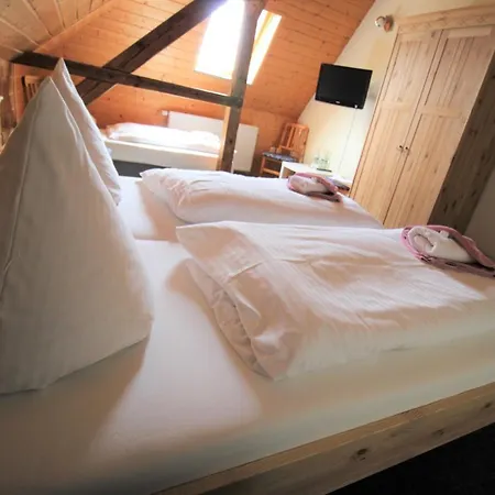 Hotel Buerger- Und Berggasthaus *
